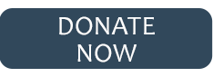 Donate Now