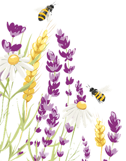 Flowers and bees
