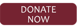 Donate Now Donate Now