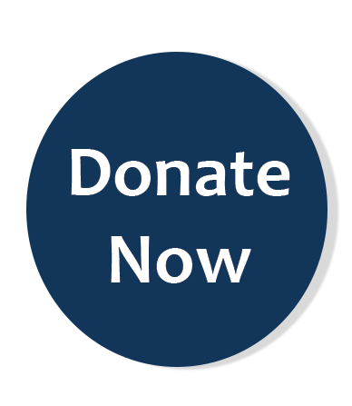 Donate Now button