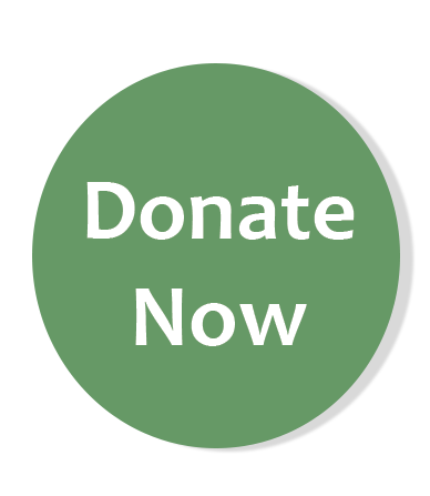 Donate Now