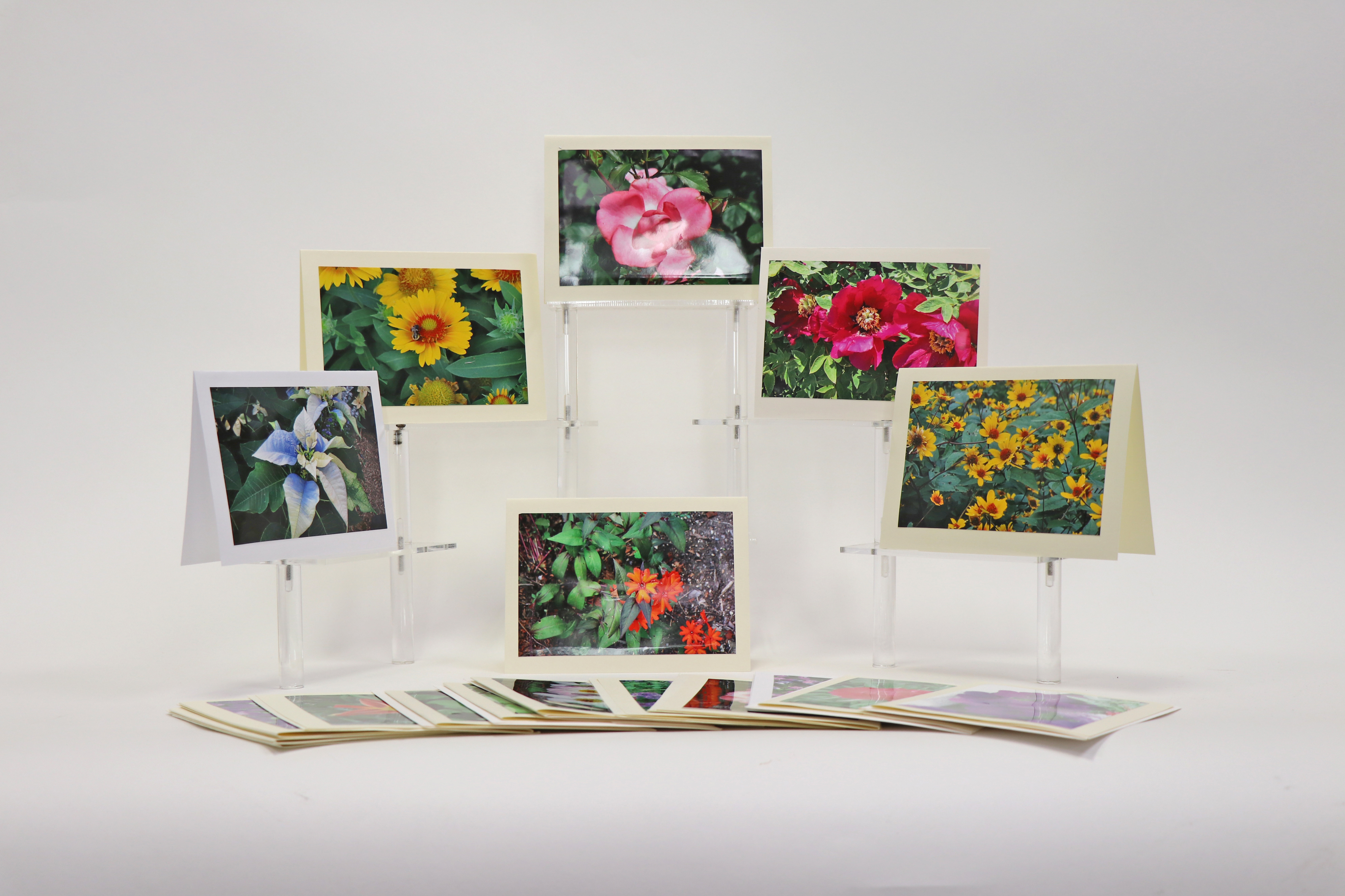 Fabulous Photographs Cards