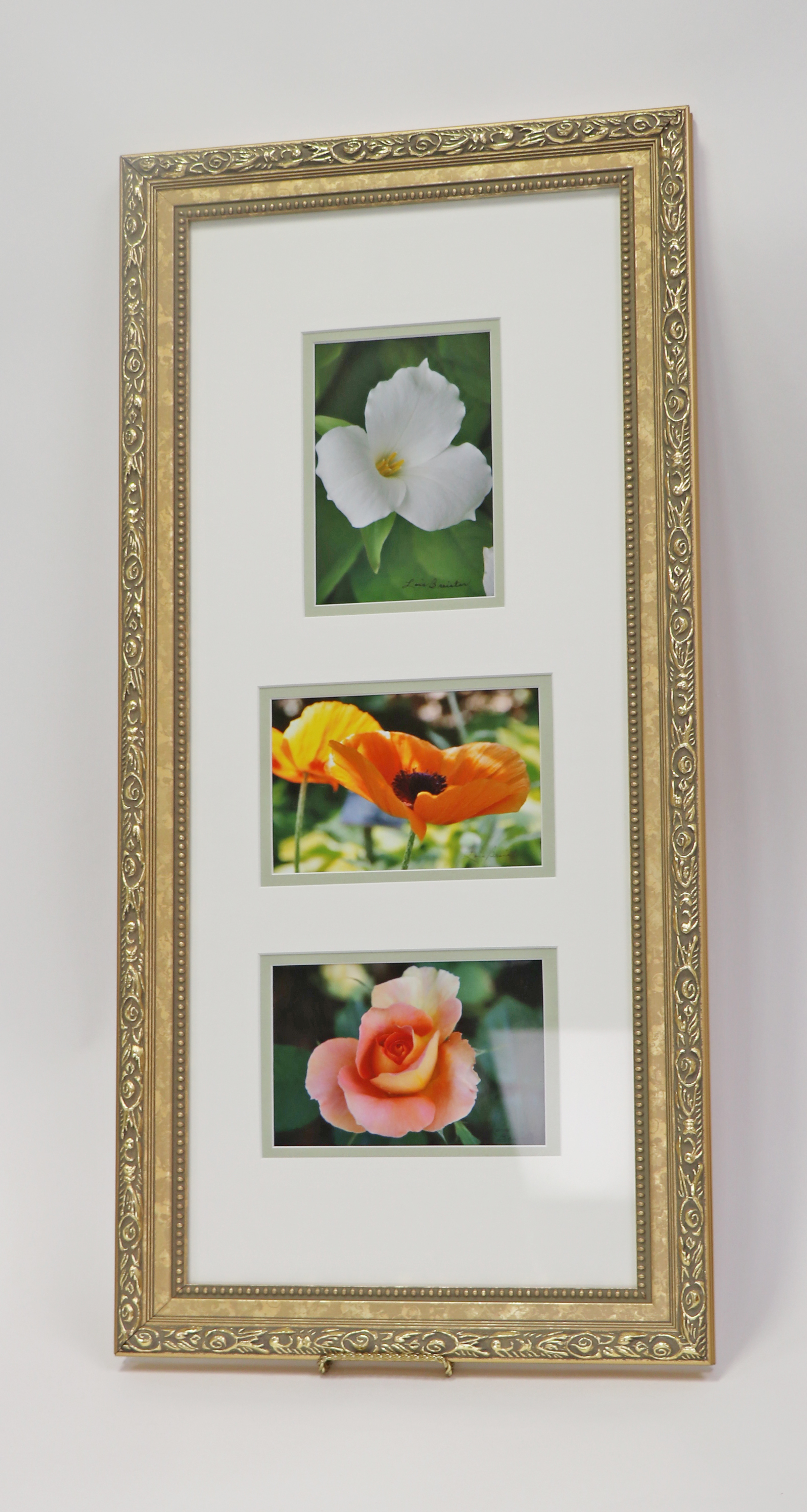 Fabulous Photographs Framed Photos