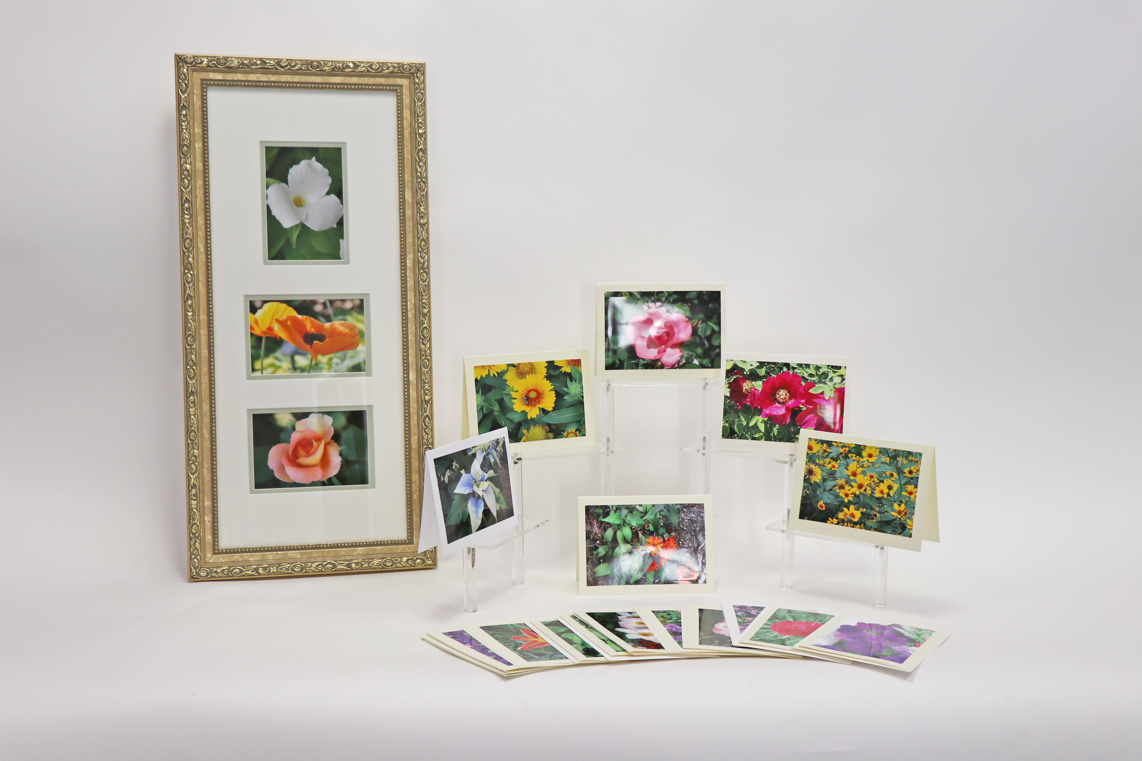 Fabulous Photographs Package