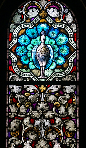 Peacock Stained Glass Window