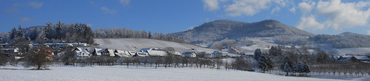 European Province