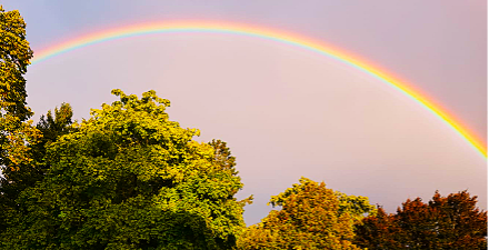 Rainbow